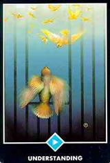 Page of Cups Tarot Court Cards